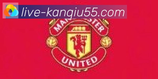 55看球网体育直播合作伙伴